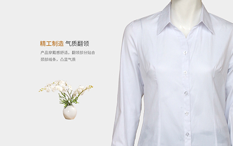 杭州白色小斜条棉质女士长袖衬衫